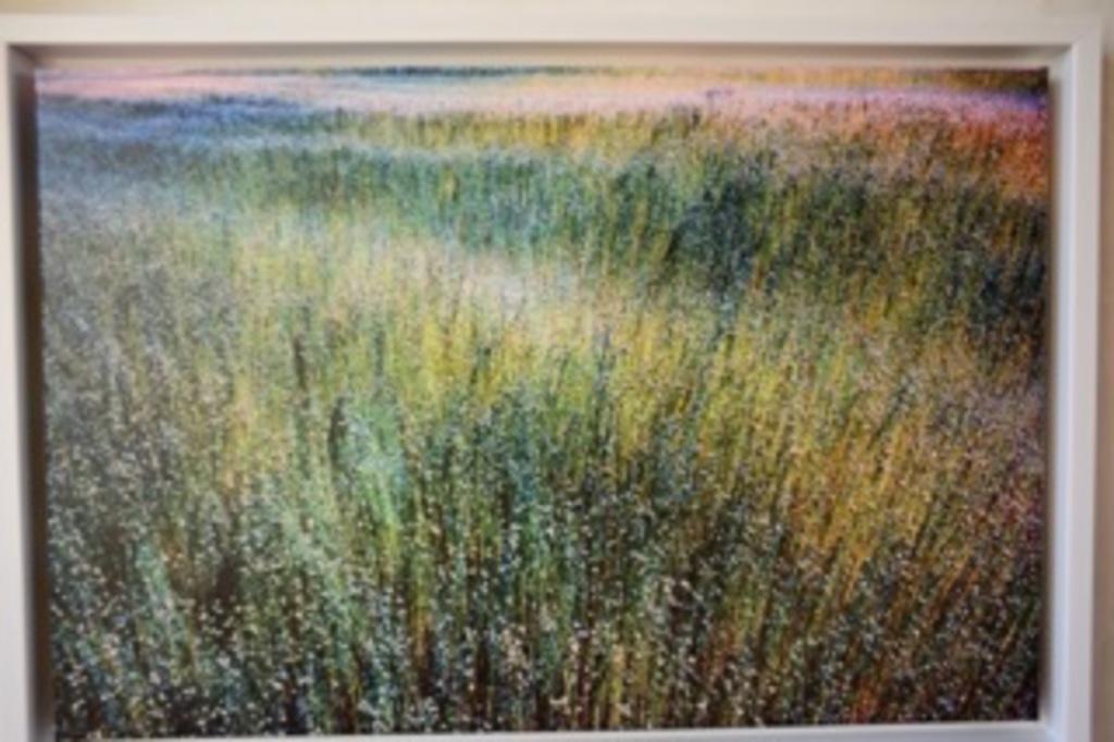 Photo sur toile, Bulles de lin , 40 x 60cm encadrée, Neuf, 1980 à nos jours, Photo, Nature