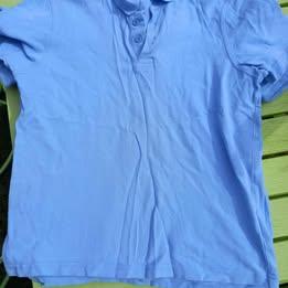 2 polos bleu ciel uniforme scolaire taille 12 ans, Enlèvement, Comme neuf