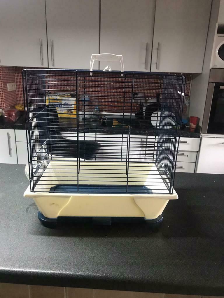 vogelkooi, Dieren en Toebehoren, Nieuw, Metaal, Vogelkooi