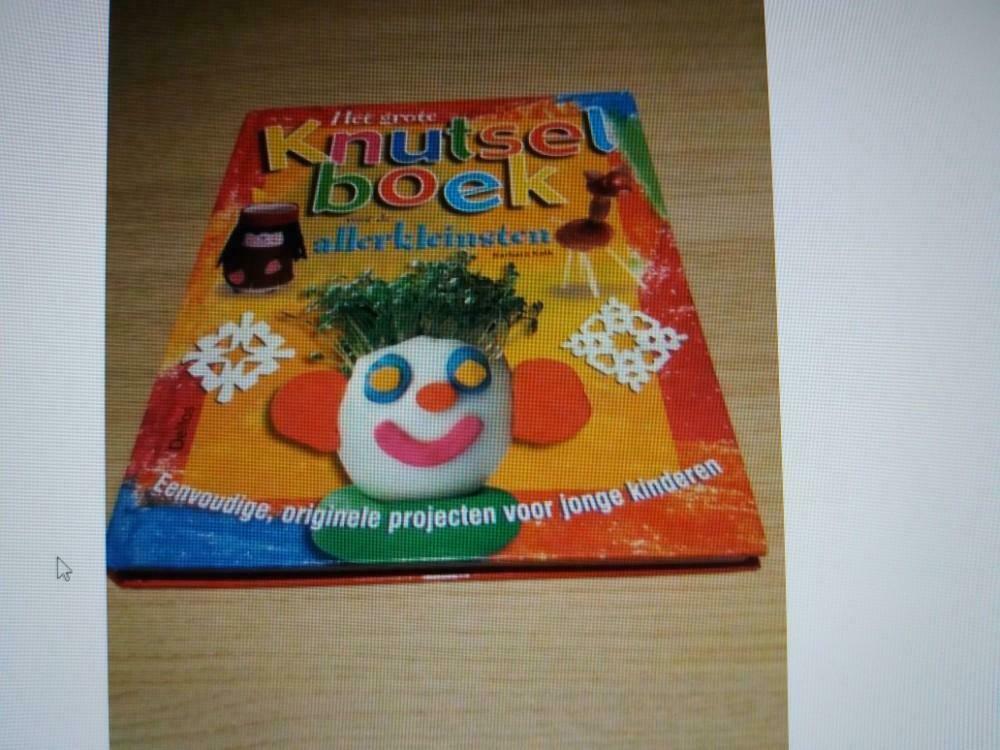 het grote knutselboek voor de allerkleinsten, Enlèvement, Comme neuf