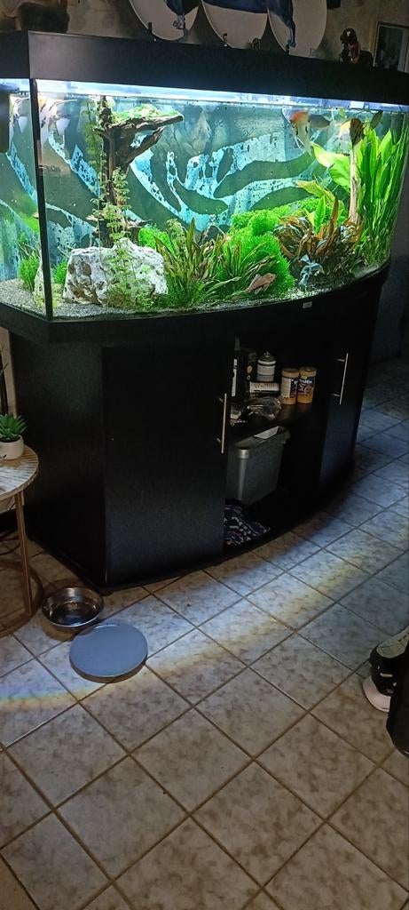 Aquarium juwel, Dieren en Toebehoren