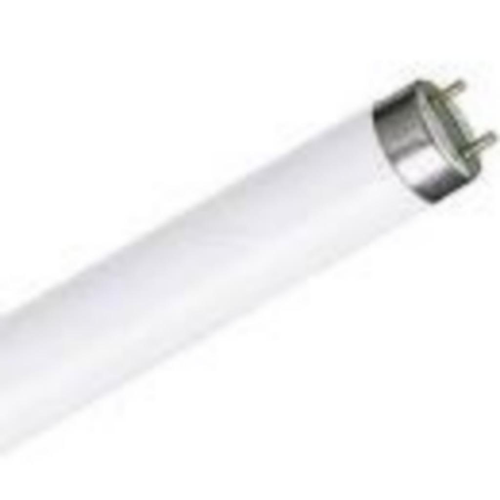 TL Lampen - buizen, Ophalen, Nieuw, Minder dan 30 watt, Overige typen