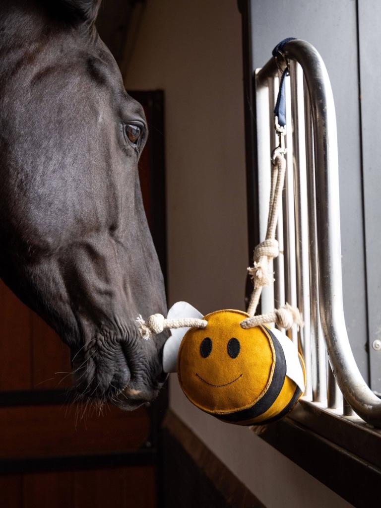 LeMieux Horse Toy Bee Paarden speelgoed Bij SALE, Dieren en Toebehoren, Paarden en Pony's | Verzorgingsproducten, Nieuw, Ophalen of Verzenden