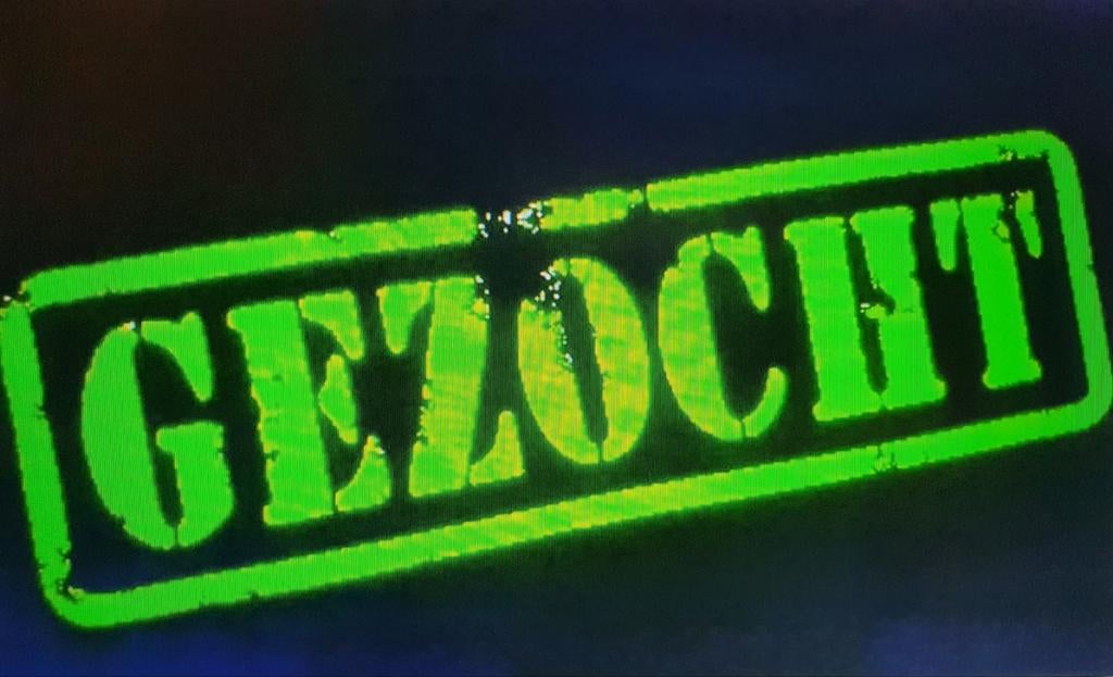 Gezocht. Grasland of weides landbouwgrond, Weidegang, 2 of 3 paarden of pony's