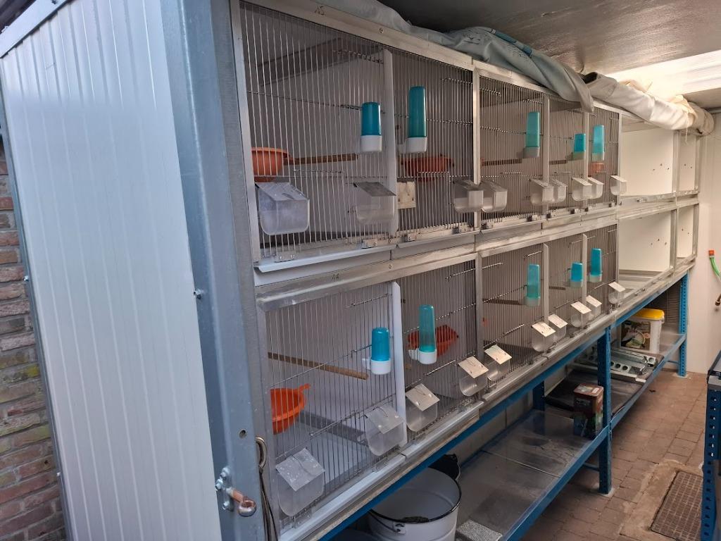 kweekbakken inox