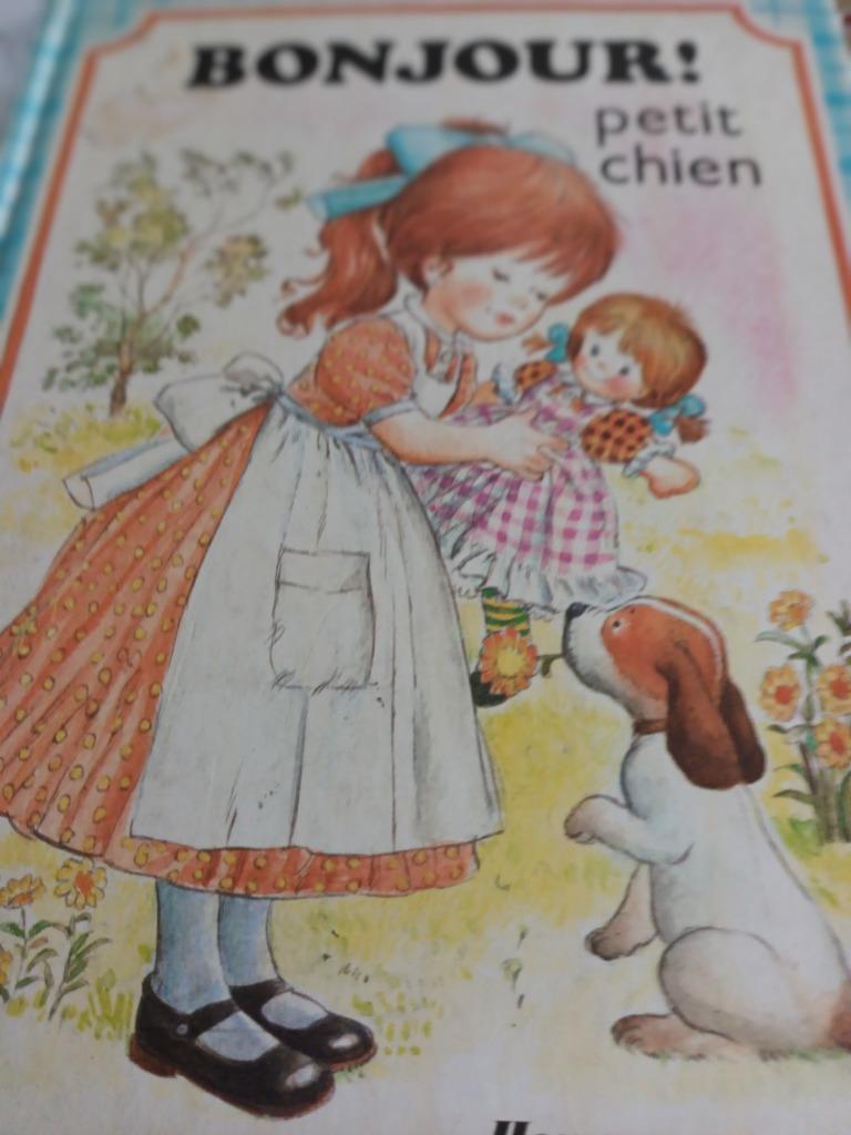 Bonjour petit chien, Gelezen, Non-fictie, Branabé Dauvister, Ophalen of Verzenden