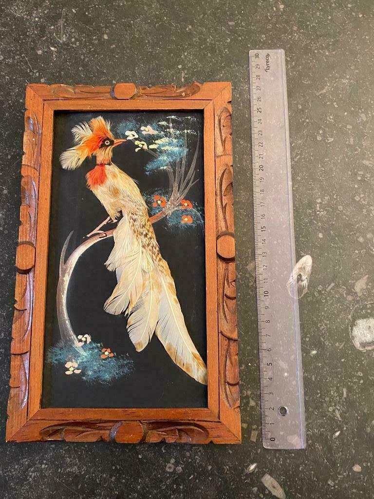 VINTAGE - cadre oiseau avec vrai plumes, Enlèvement ou Envoi, Utilisé