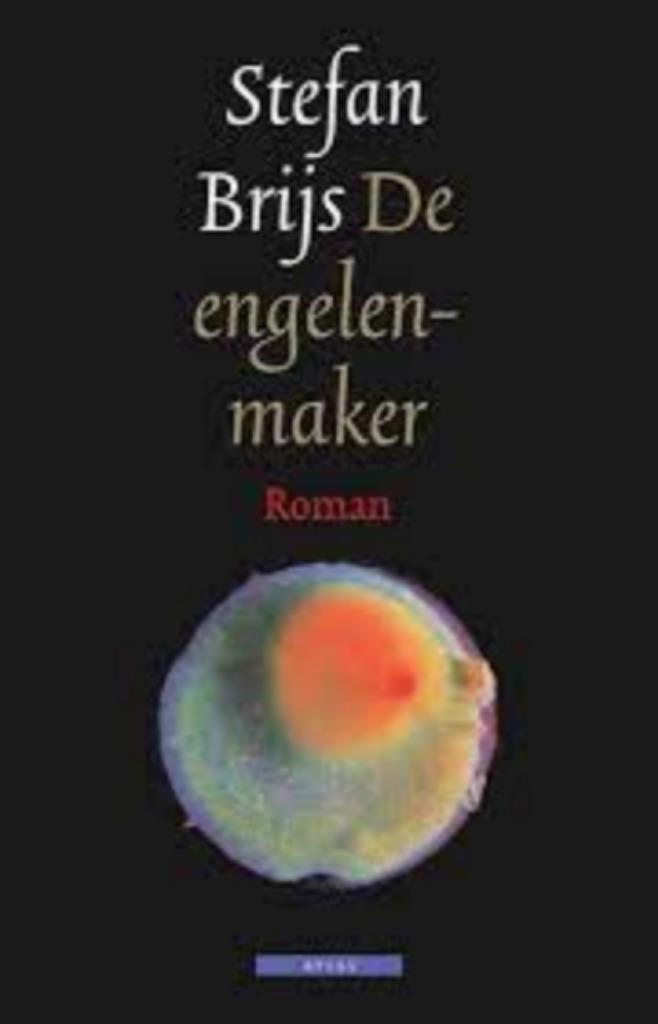 De engelenmaker|Stefan Brijs 9789045005300, Boeken, Ophalen of Verzenden, Zo goed als nieuw, Zie beschrijving