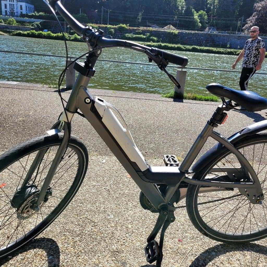 Vélo électrique, 47 à 51 cm, Enlèvement, Utilisé, Autres marques