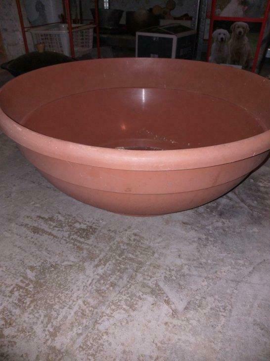 1 pot, vasques et soucoupes, Enlèvement, Utilisé