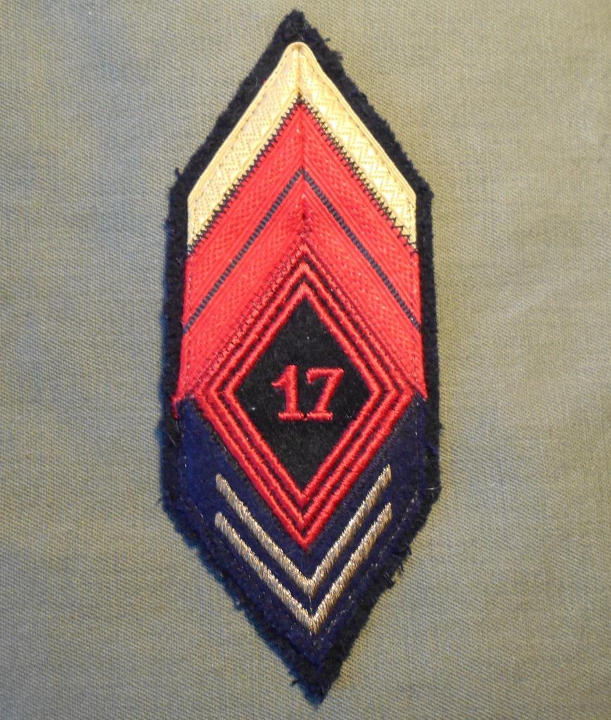 FRANCE / PARA / GRADES 17em RGP., Envoi, Armée de terre, Emblème ou Badge