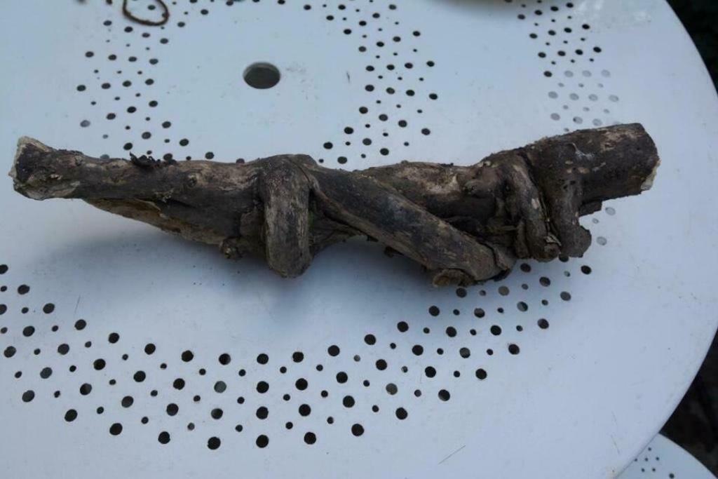 Bois flotté torsadé foncé L 48cm N46, Antiquités & Art, Art | Sculptures & Bois, Envoi