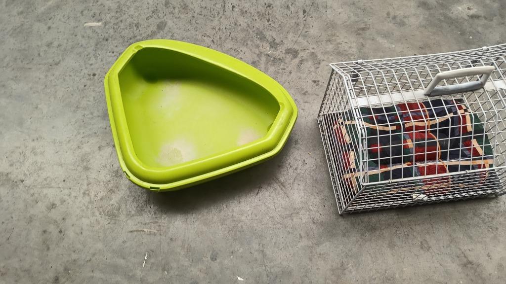 dieren, Enlèvement, Comme neuf, Chats