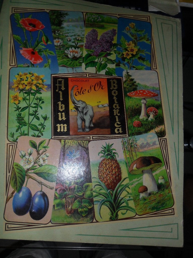 ALBUM BOTANIC, Livres, Enlèvement
