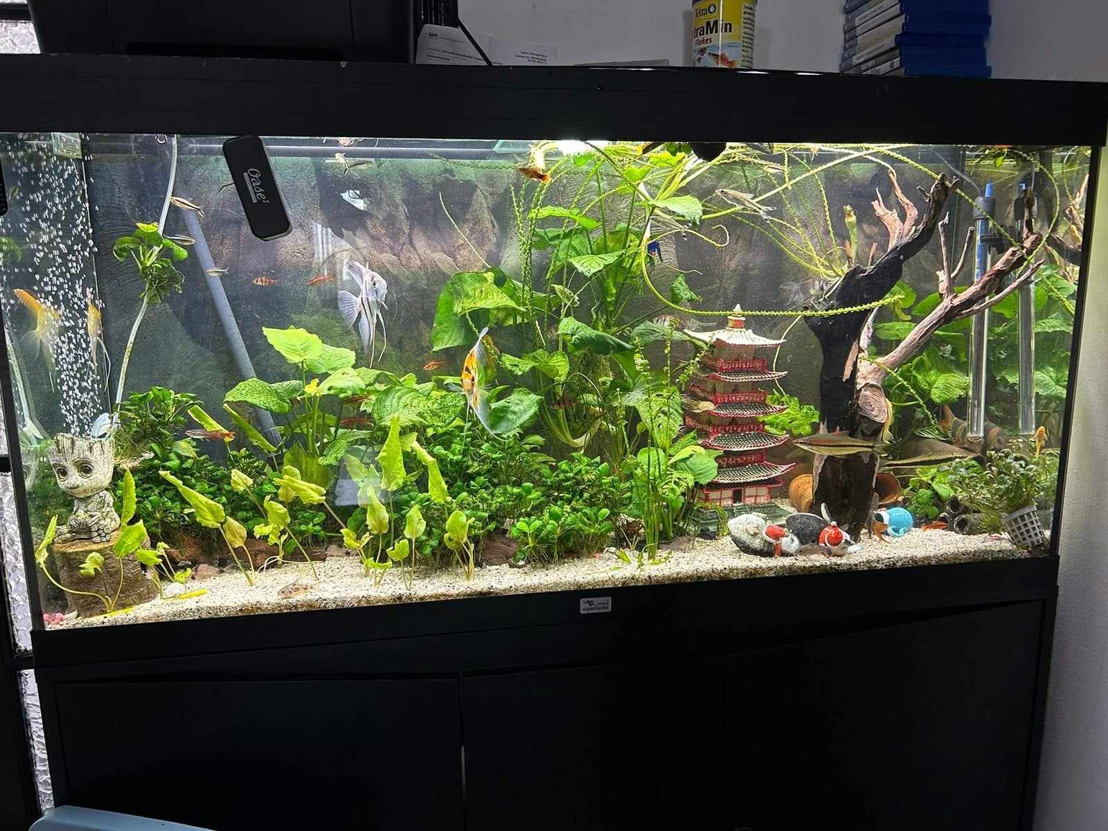 Aquarium leeg, Dieren en Toebehoren, Ophalen, Zo goed als nieuw