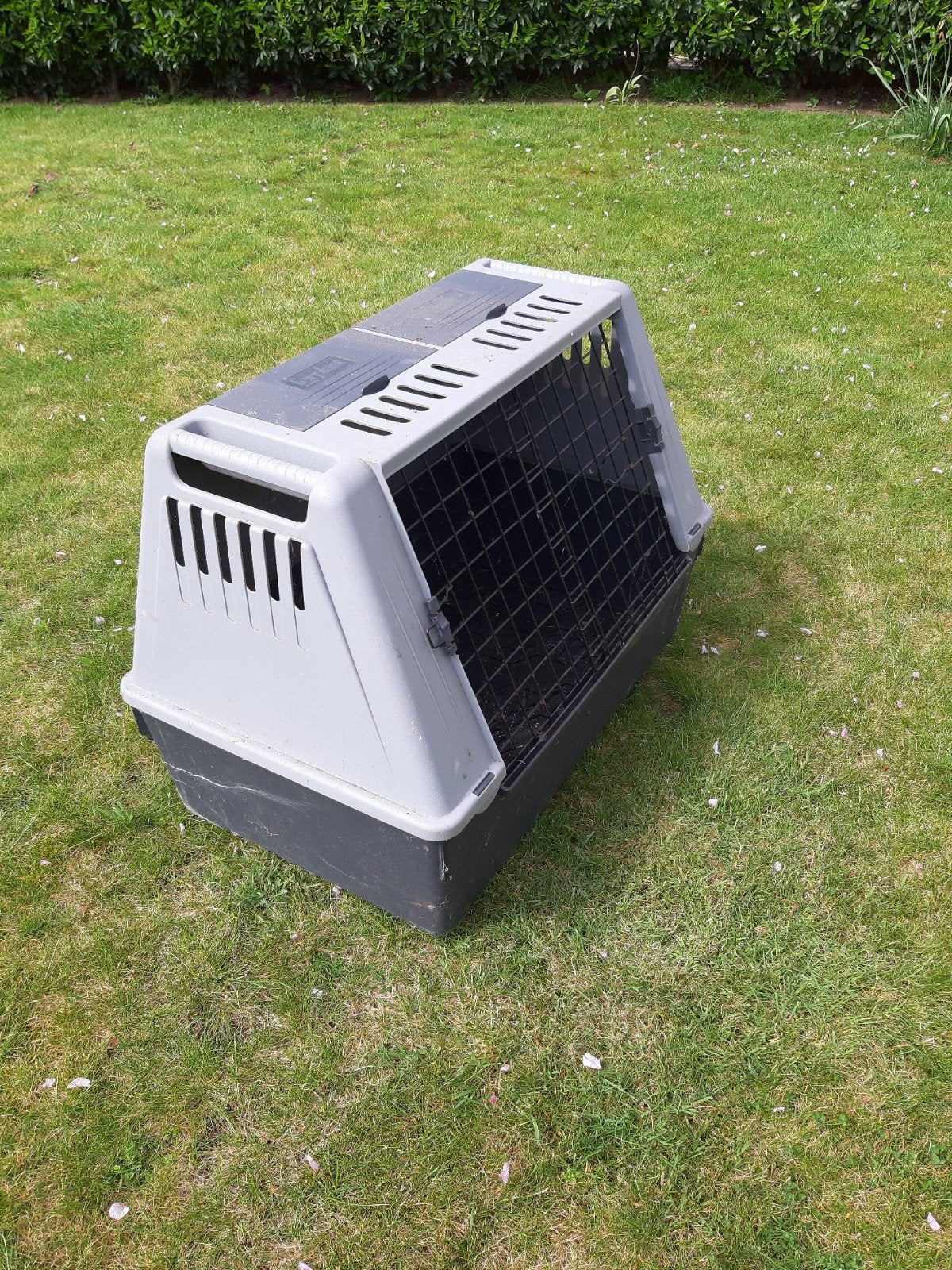 Hondenbench, Dieren en Toebehoren, Ophalen