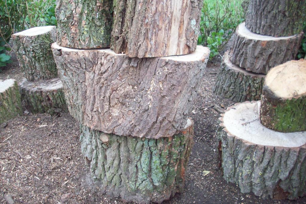 Creatief zijn met grote blokken wilgenhout, Enlèvement, Neuf