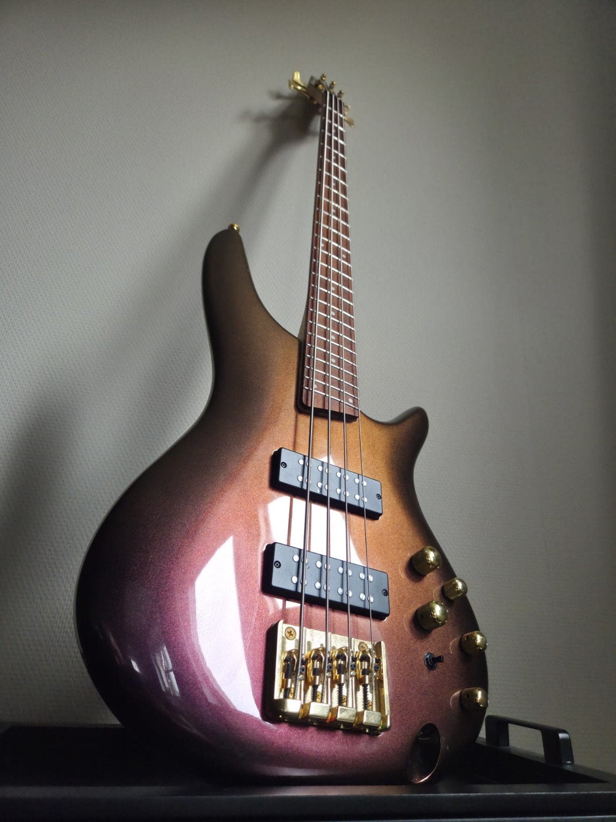 ibanez bass, Ophalen, Nieuw, Elektrisch