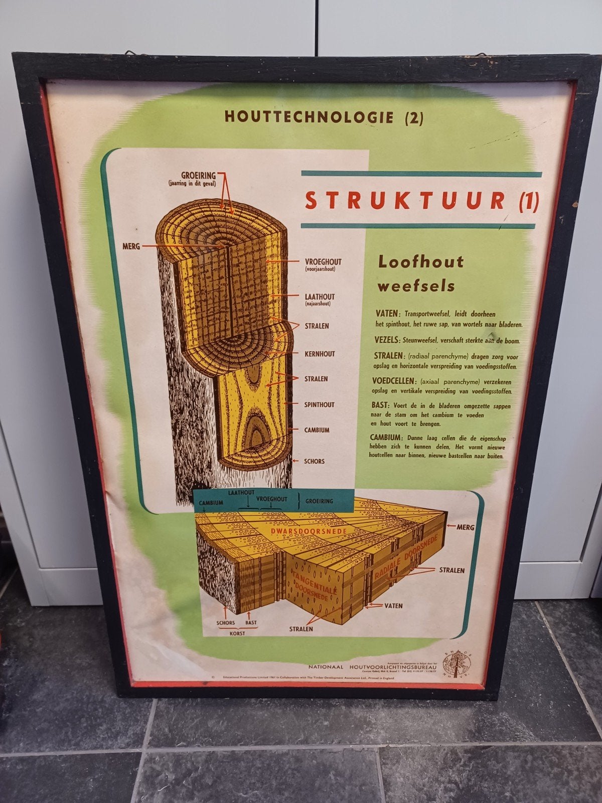 2 Oude didactische kaders over houtstructuur, Ophalen