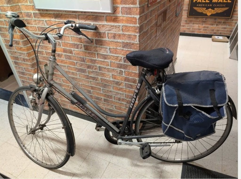 Damesfiets, Autres marques, Vitesses, Frein sur jante, Enlèvement