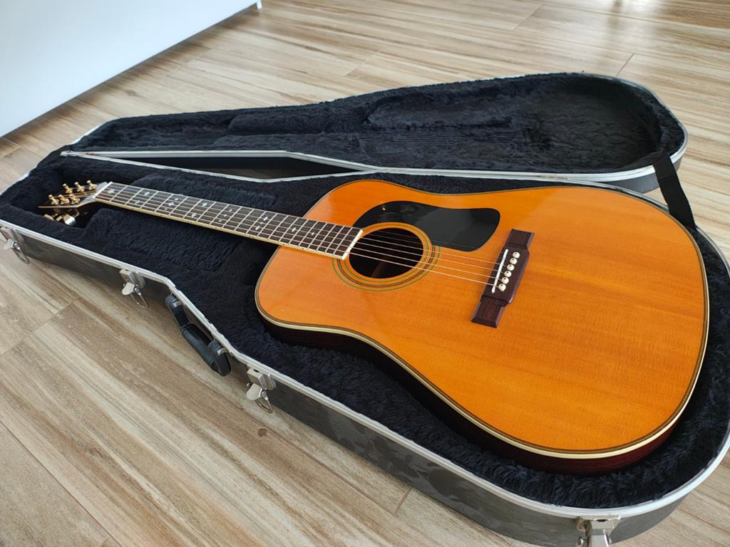 Washburn D-28S/N Perfect afgesteld - Warme, rijke klank, Ophalen