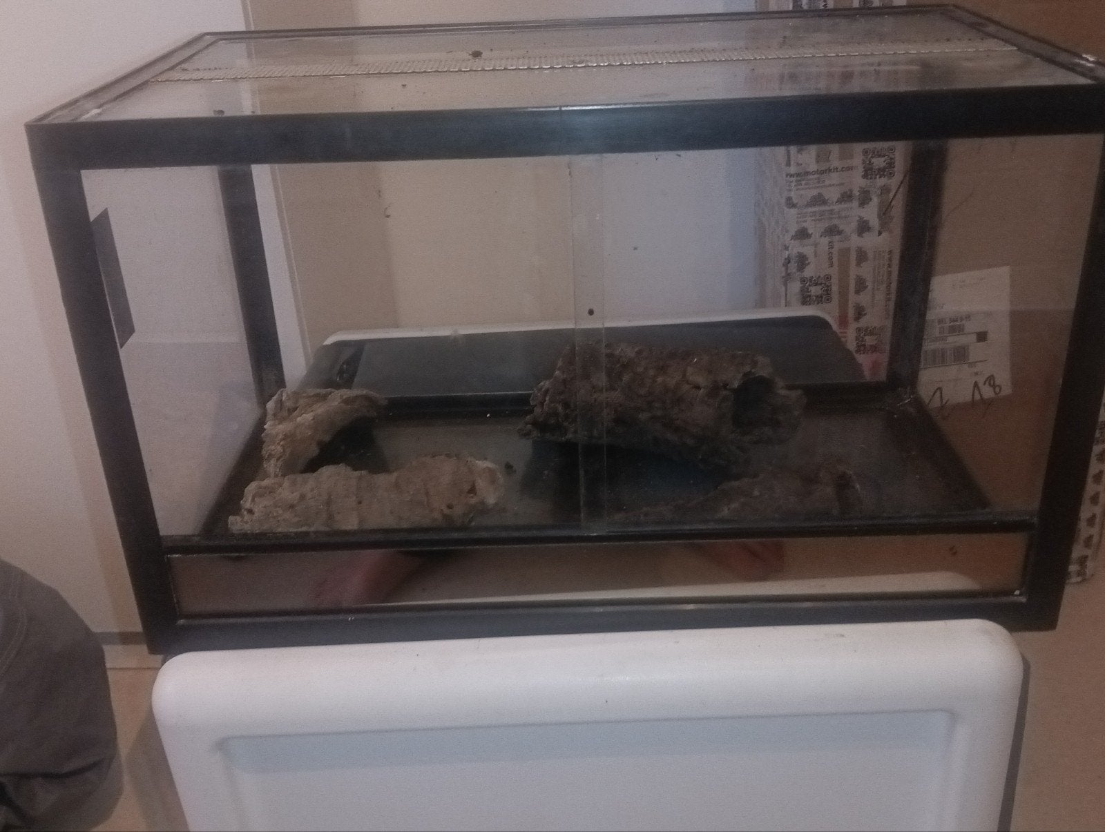 terrarium, Ophalen of Verzenden