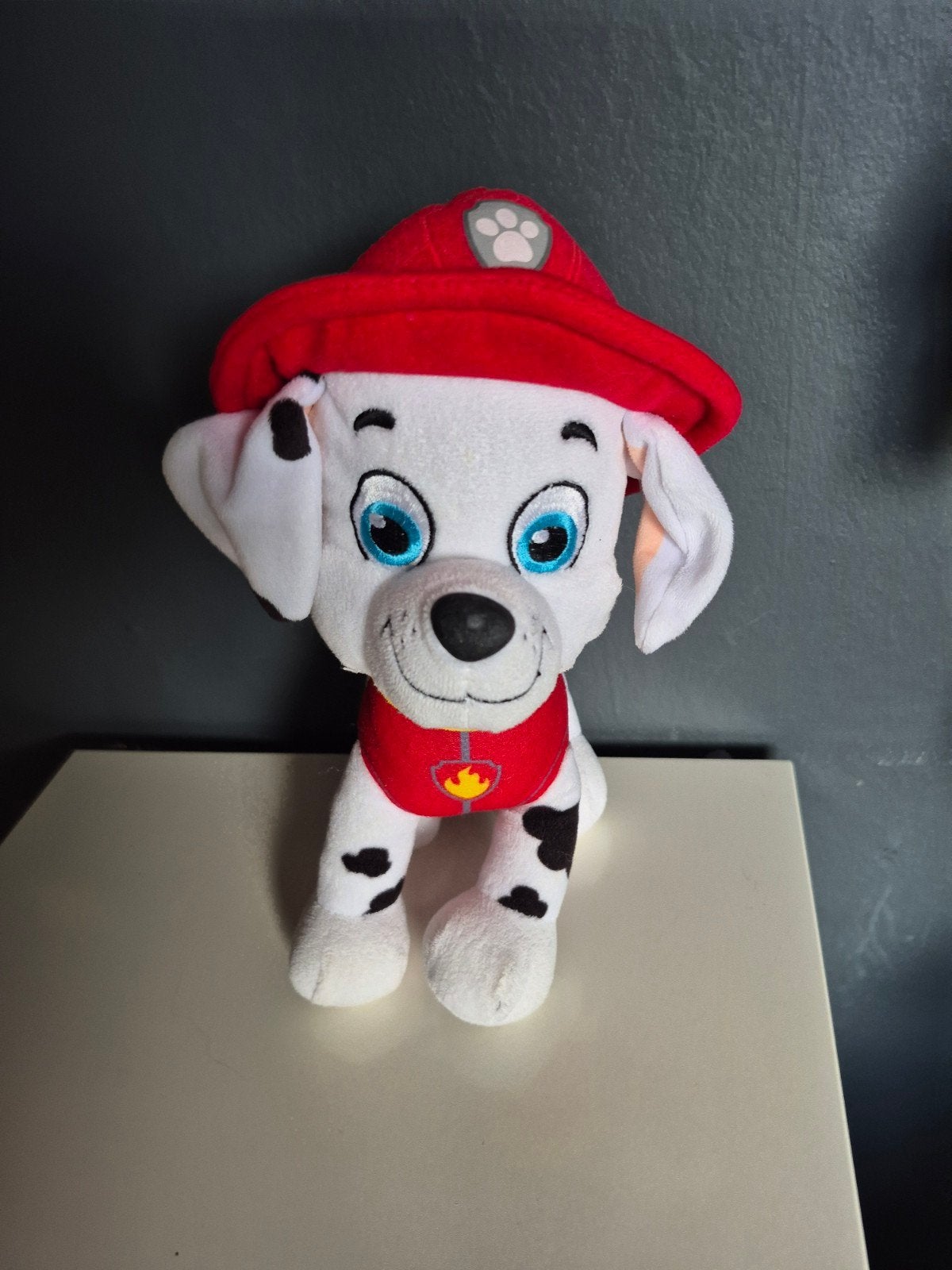 paw patrol knuffel goede staat 30cm, Kinderen en Baby's, Paw Patrol, Ophalen of Verzenden
