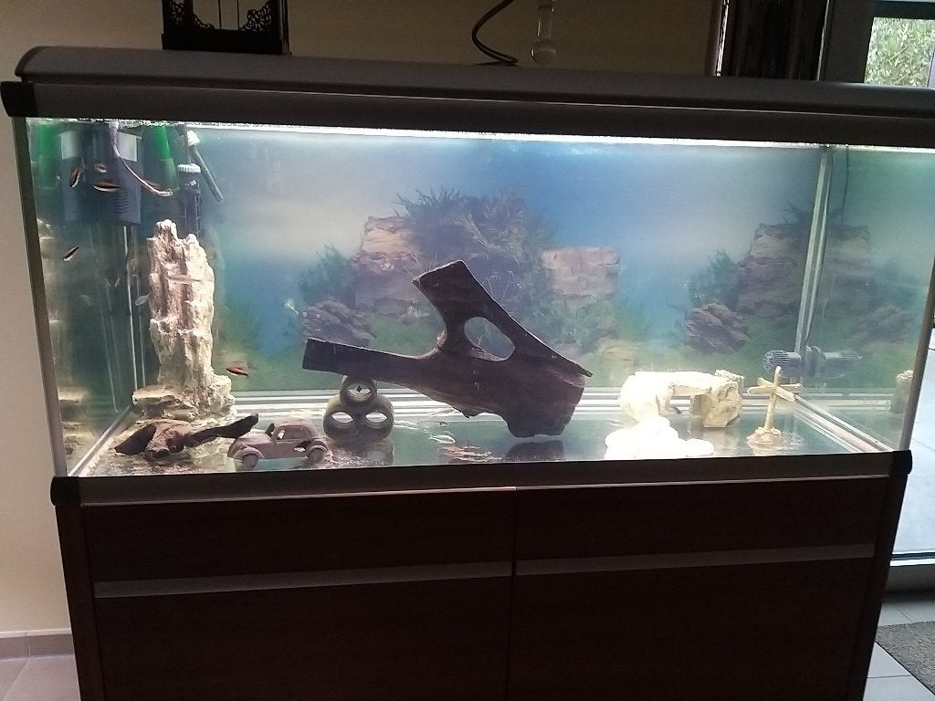 aquarium+kast computergestuurde co2 en auto led nieuwst, Ophalen, Gevuld zoetwateraquarium, Zo goed als nieuw, Eheim