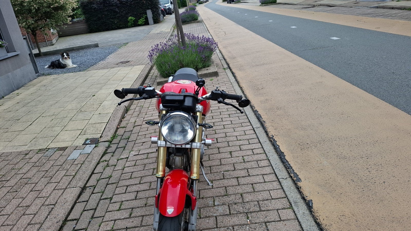 verkoop ducati monster 600 1998, Motoren, Motoren | Ducati, 2 cilinders, Gebruikt, Meer dan 35 kW, 600 cc