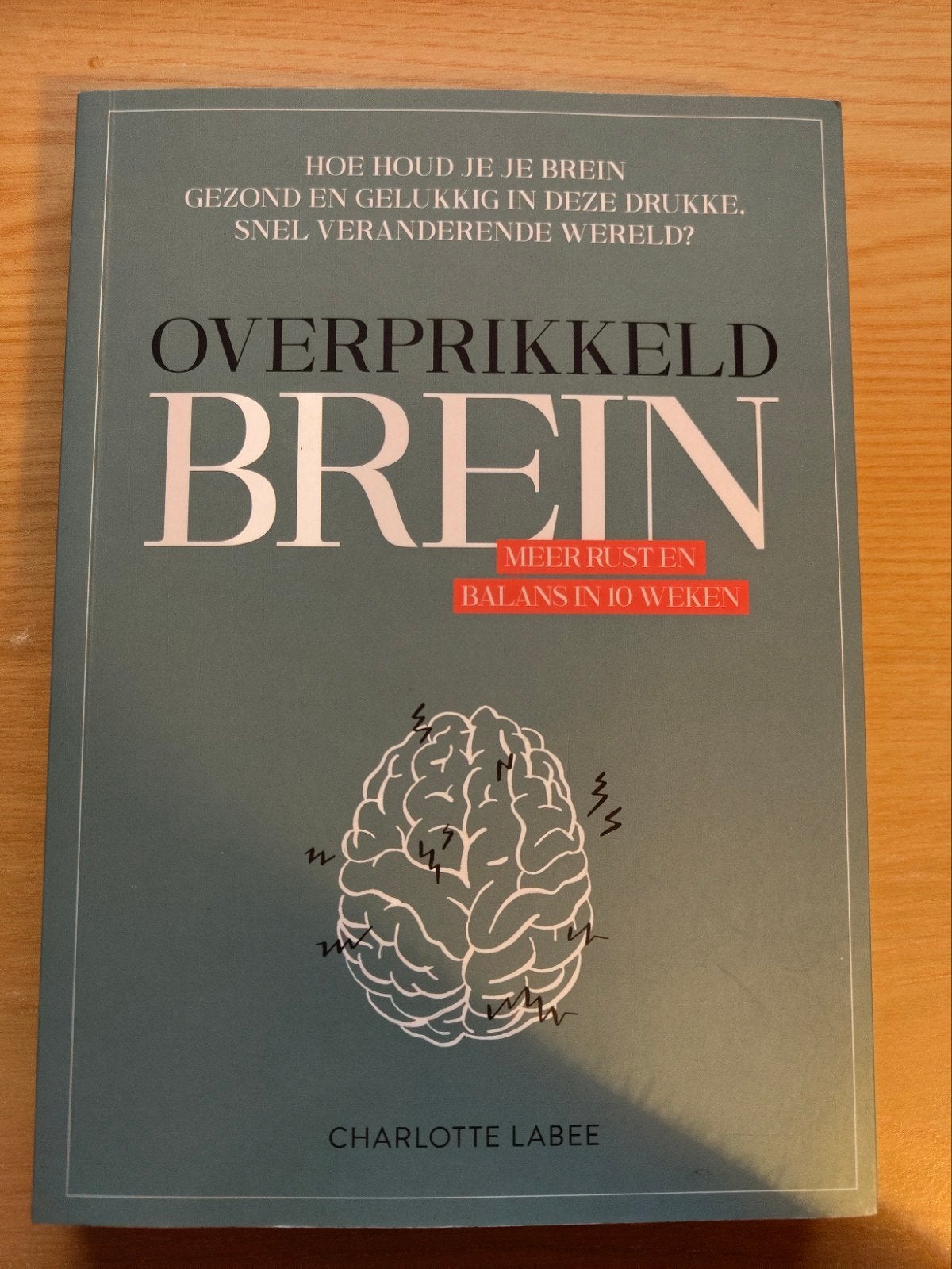 Charlotte Labee - Overprikkeld brein, Ophalen of Verzenden, Charlotte Labee