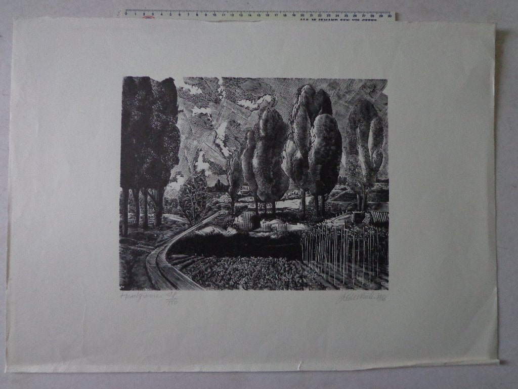 houtgravure van Roland De Winter "Landschap" uit 1983, Antiek en Kunst, Kunst | Etsen en Gravures, Houtsnede, Genummerd, Gesigneerd