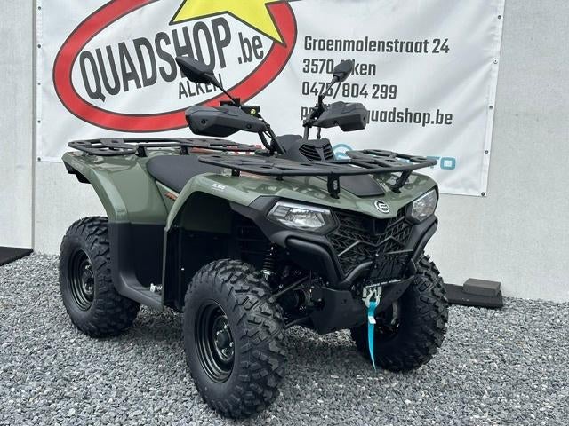 CF MOTO CFORCE 520S TS GEENLINE, Motoren