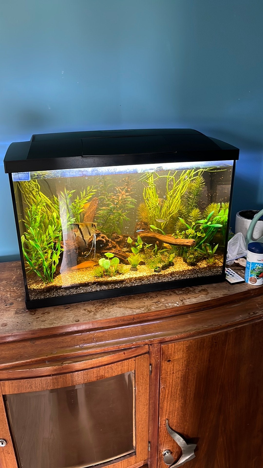 Aquarium Super Fish, 70 litres, Animaux & Accessoires, Enlèvement, Comme neuf