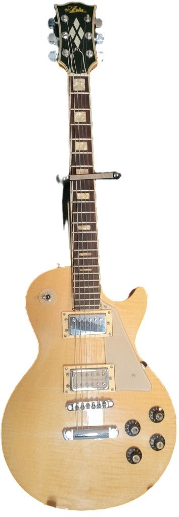 Guitare Aria, Musique & Instruments, Enlèvement, Utilisé, Autres marques