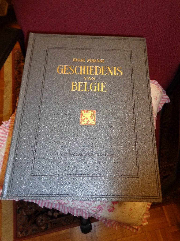 Geschiedenis van België, Livres, Histoire nationale, Enlèvement ou Envoi, Utilisé