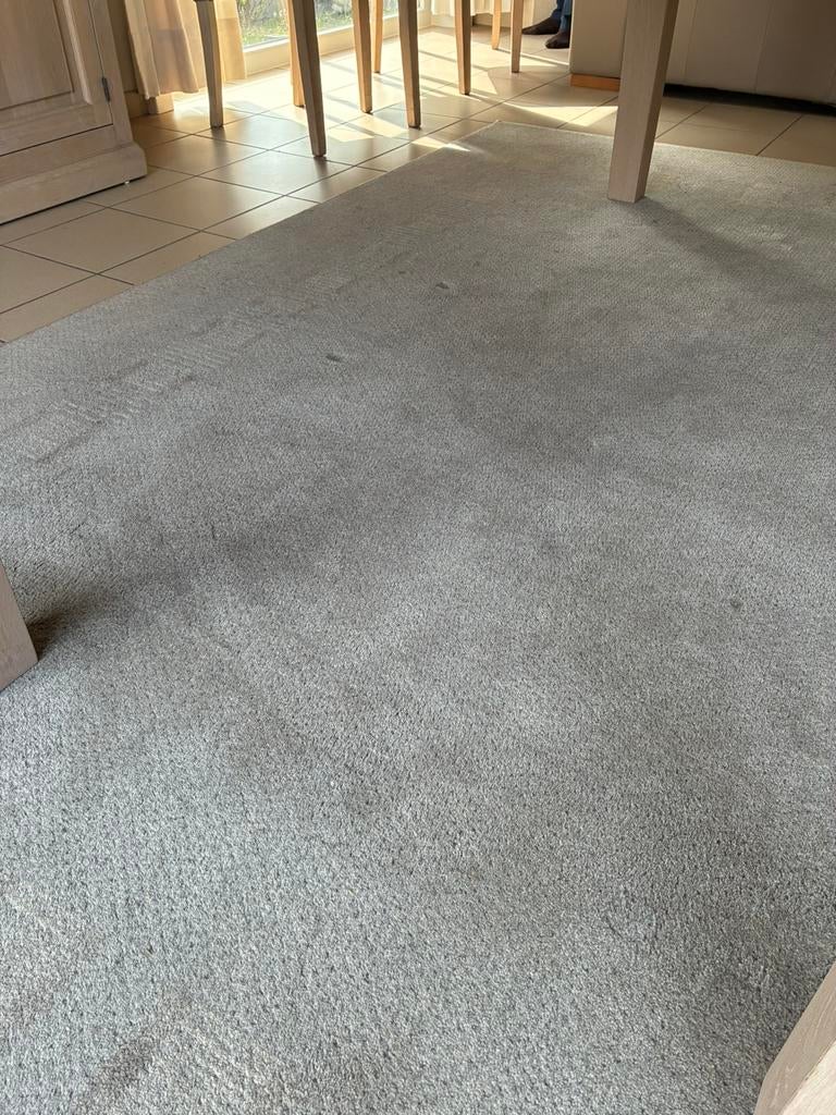 Wollen TAPIJT  200/290, Maison & Meubles, Ameublement | Revêtements de sol, Beige, Enlèvement, Utilisé, Tapis