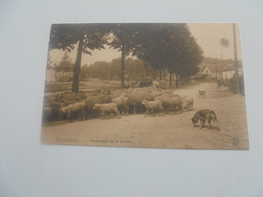provincie namen - 10 postkaarten, Ophalen of Verzenden, 1920 tot 1940, Gelopen, Namen