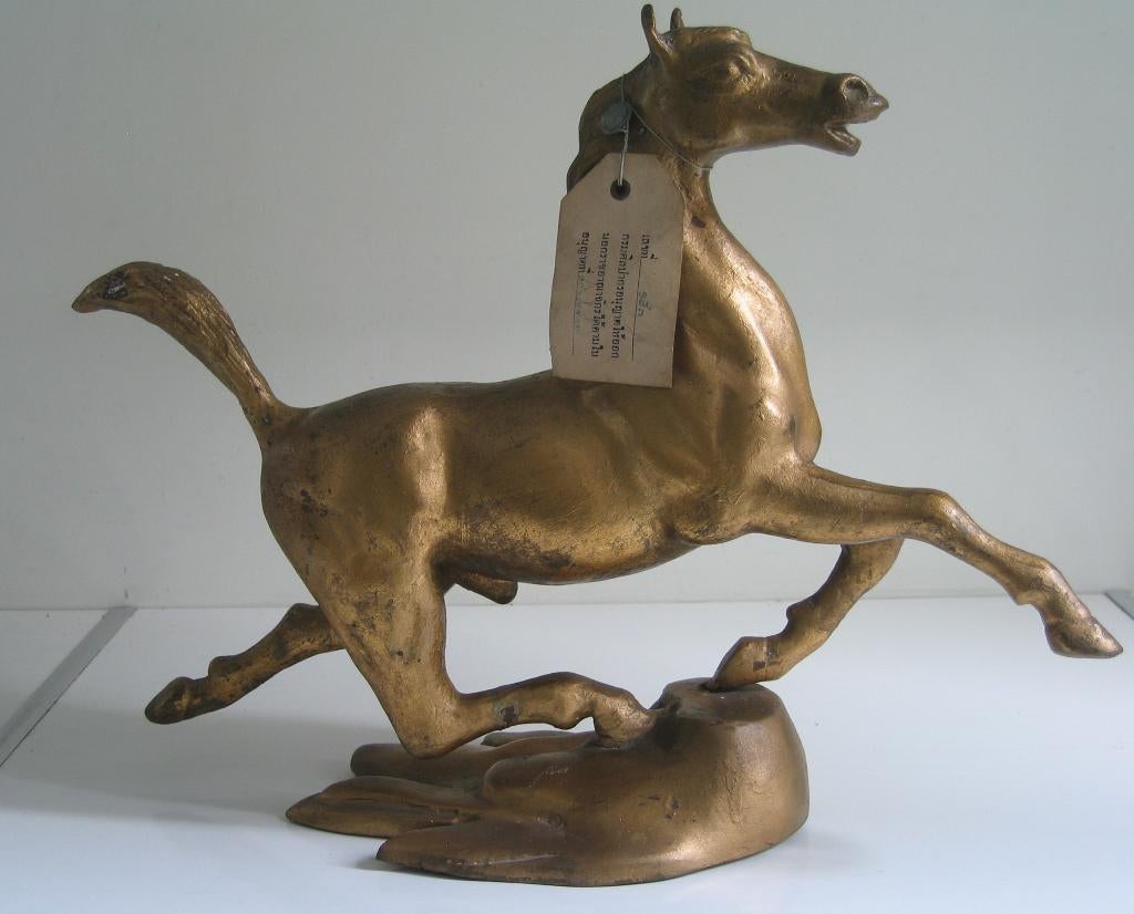 Cheval/Thailand - 8121, Enlèvement