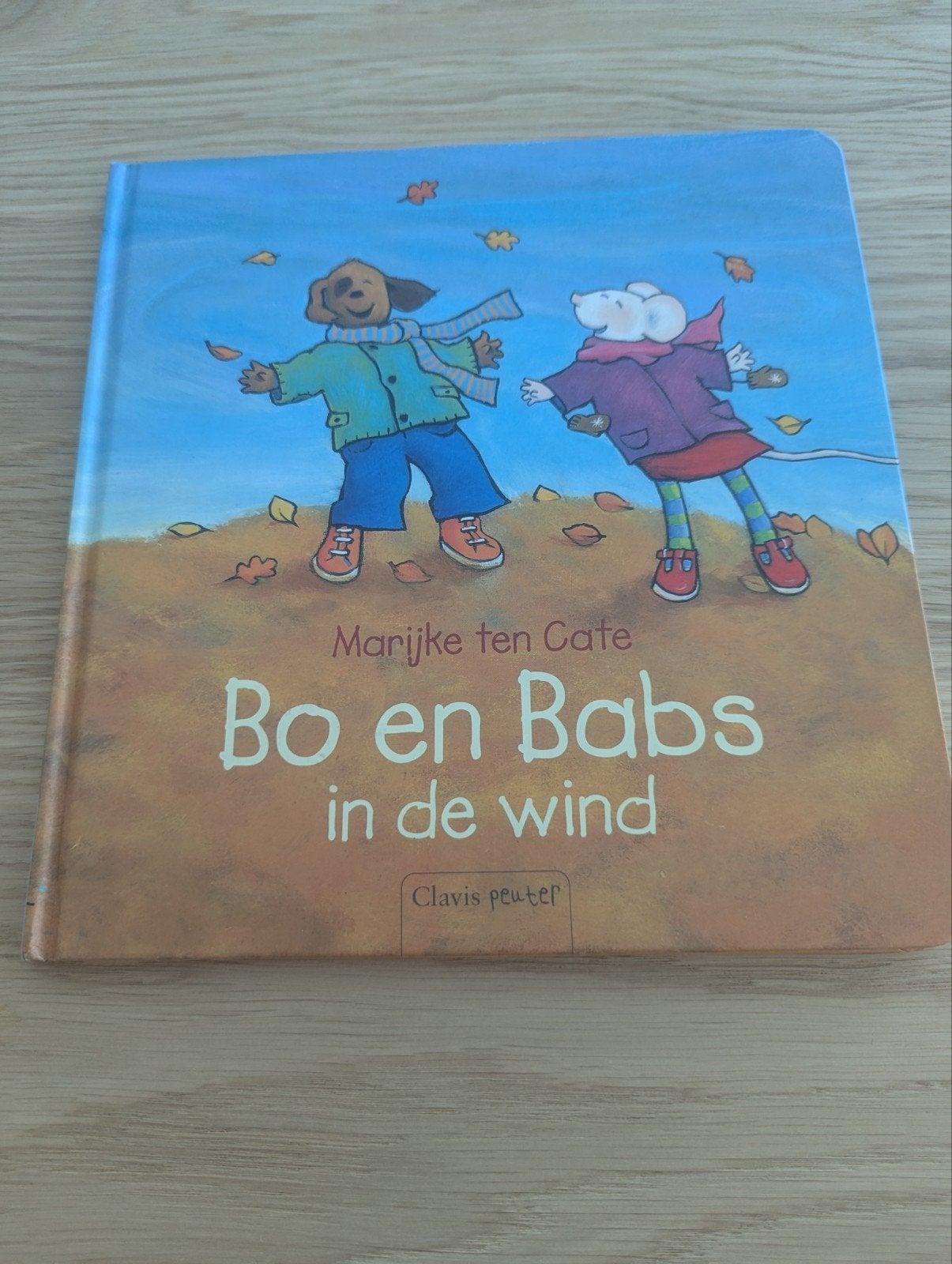 Marijke ten Cate - Bo en Babs in de wind, Ophalen of Verzenden, Marijke ten Cate