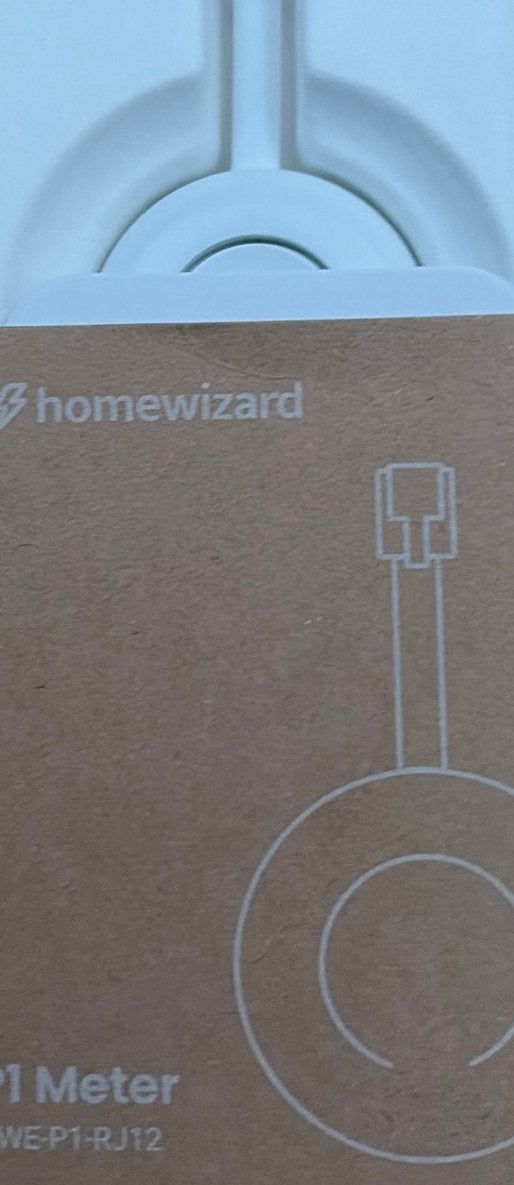 Home wizard, Ophalen of Verzenden, Nieuw