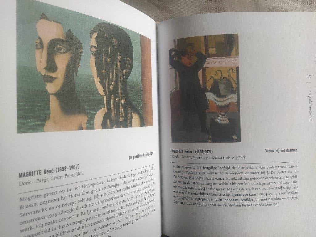 boek: de Belgische kunstcollectie, Livres, Art & Culture | Arts plastiques, Enlèvement ou Envoi, Comme neuf, Peinture et dessin