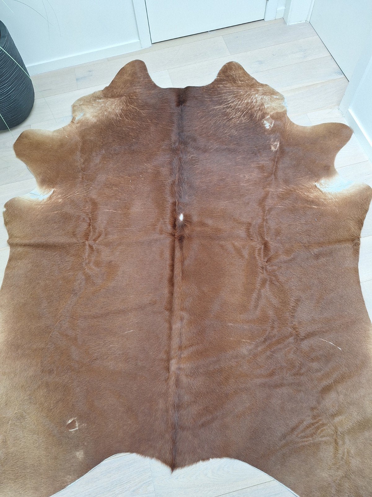 Koeienvel te koop, Ophalen