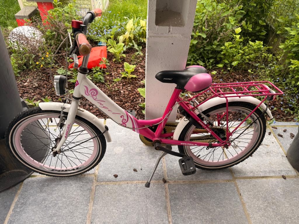Kinderfiets 22inch, Ophalen, Gebruikt, 22 inch