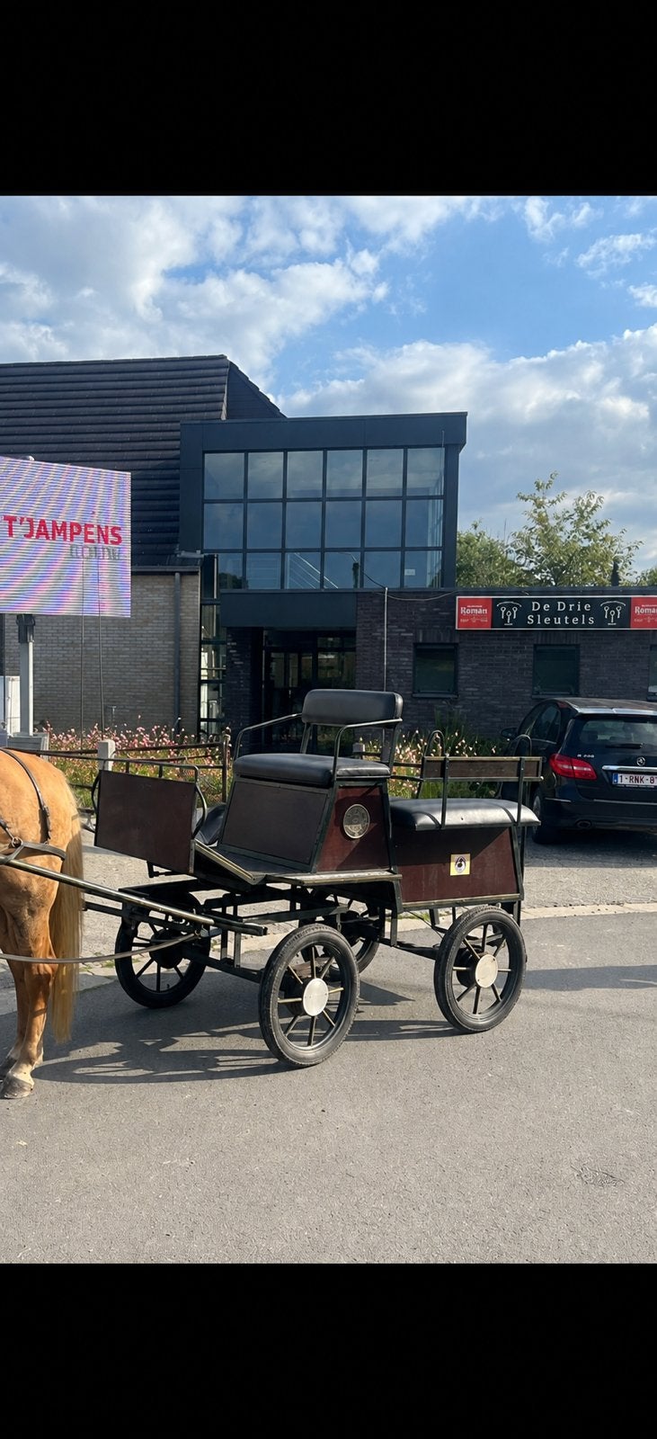 Koets te koop, Dieren en Toebehoren, Gebruikt