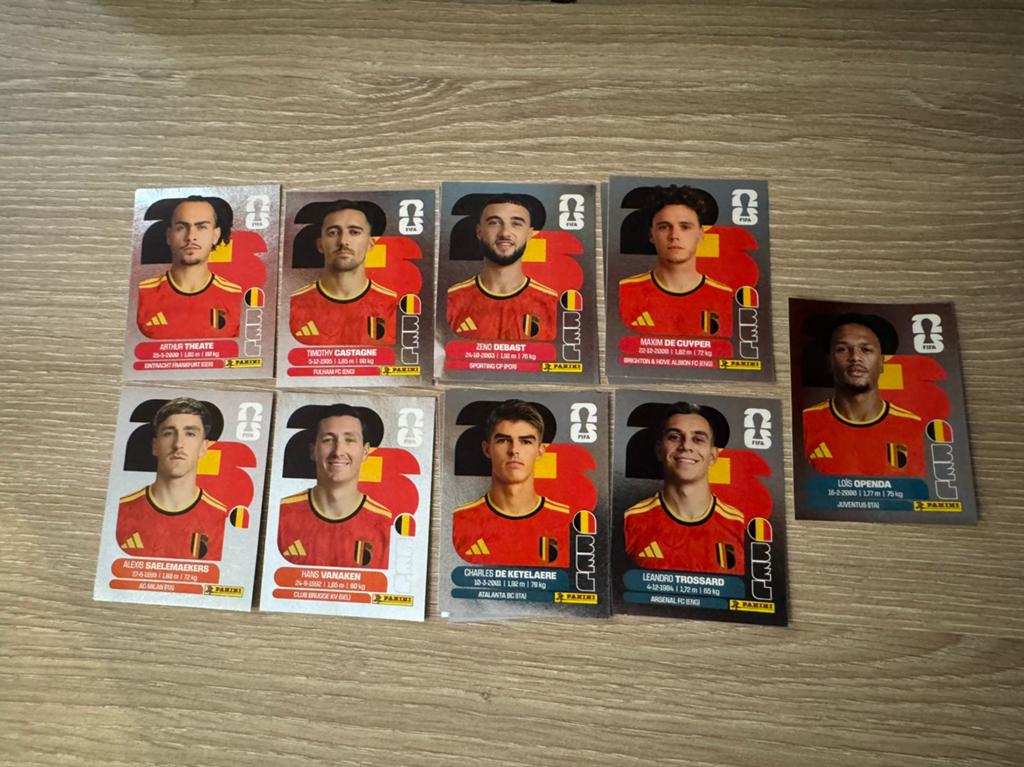 Panini WK 2026, Hobby en Vrije tijd, Stickers en Plaatjes, Zo goed als nieuw, Ophalen