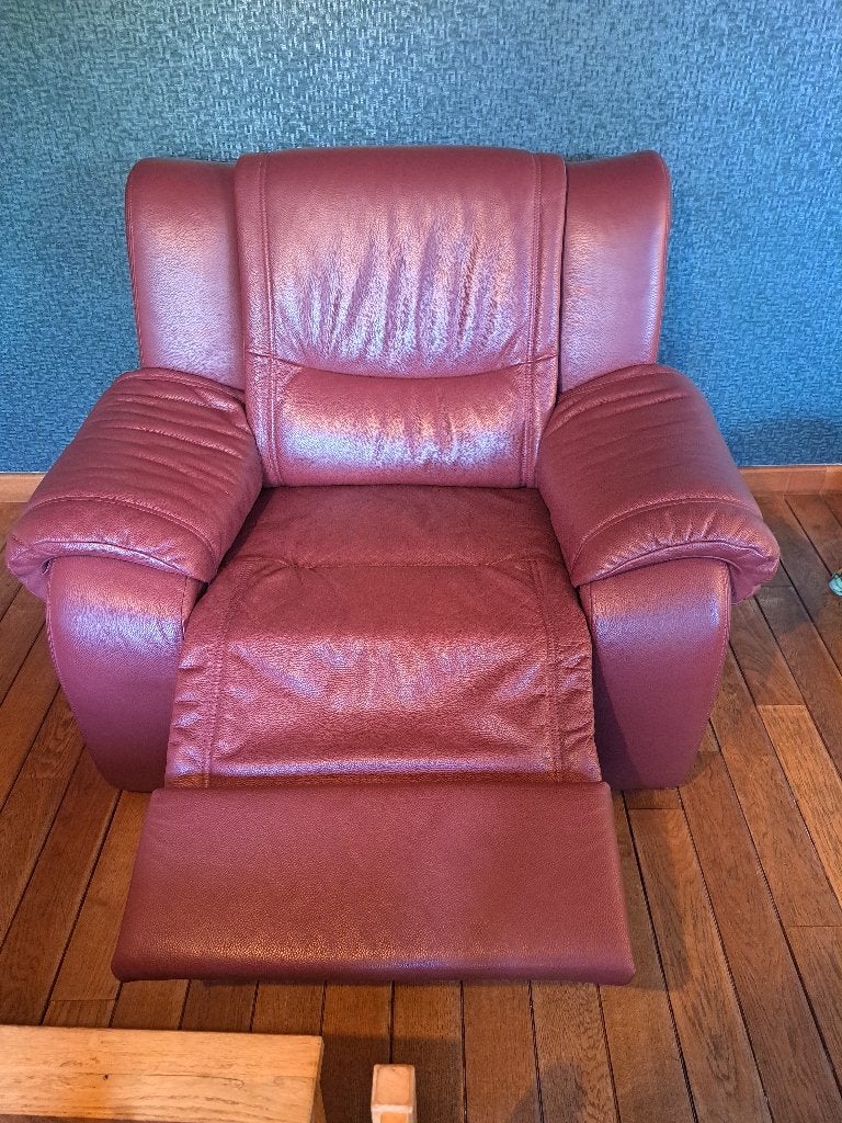 Salon, Enlèvement, Utilisé, Cuir