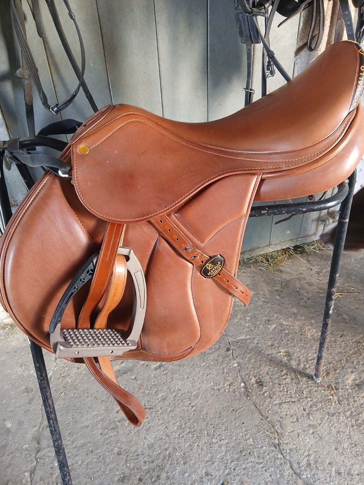 acavallo modigliani, Dieren en Toebehoren, Paarden en Pony's | Zadels, Ophalen of Verzenden