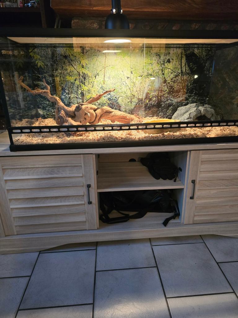 Terrarium, Dieren en Toebehoren, Ophalen