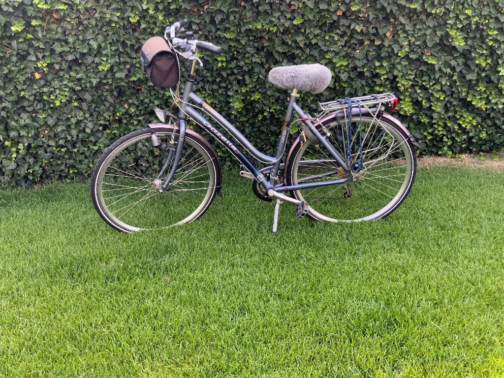 Gazelle damesfiets, Fietsen en Brommers, Fietsen | Dames | Damesfietsen, Ophalen, Gebruikt, Velgrem, Versnellingen