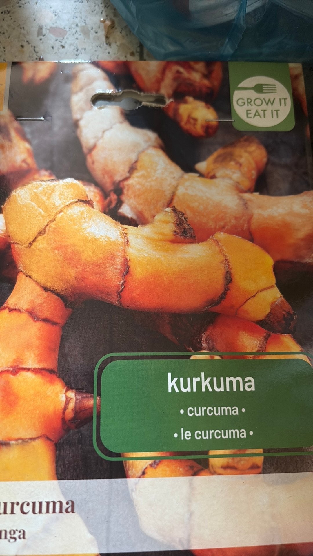 Kurkuma, Jardin & Terrasse, Bulbes & Semences, Enlèvement, Printemps, Plein soleil, Oignon